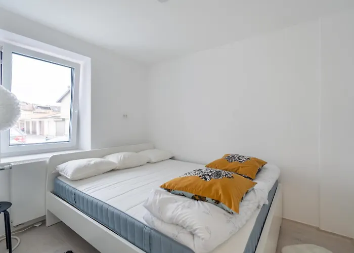 Black & White Rozna Dolina Daire Ljubljana