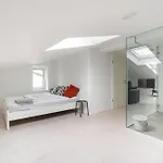 Black & White Rozna Dolina Апартаменты *